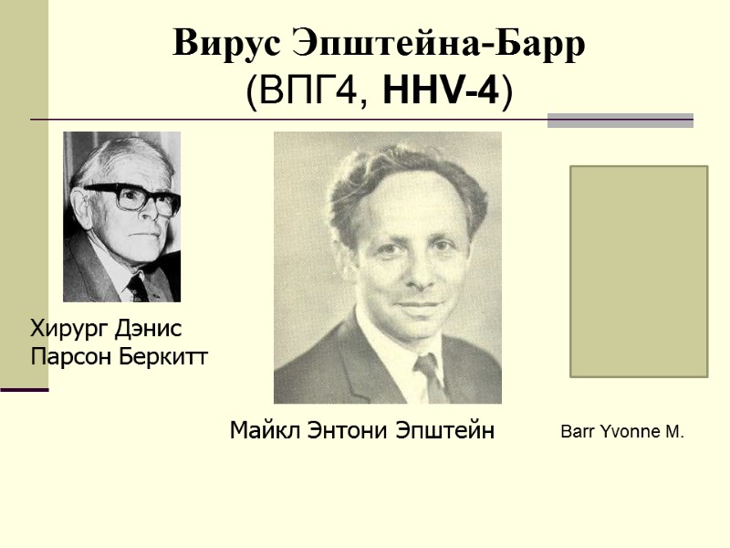 Вирус Эпштейна-Барр (ВПГ4, HHV-4) Майкл Энтони Эпштейн  Хирург Дэнис Парсон Беркитт  Barr